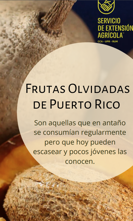 Frutas olvidadas de Puerto Rico