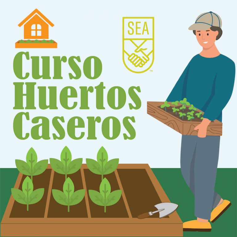 Logo curso huertos caseros