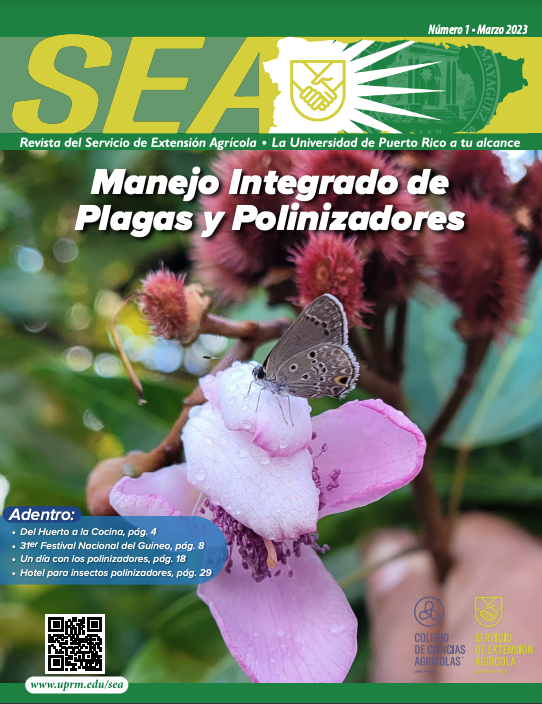 Revista SEA Edición 29