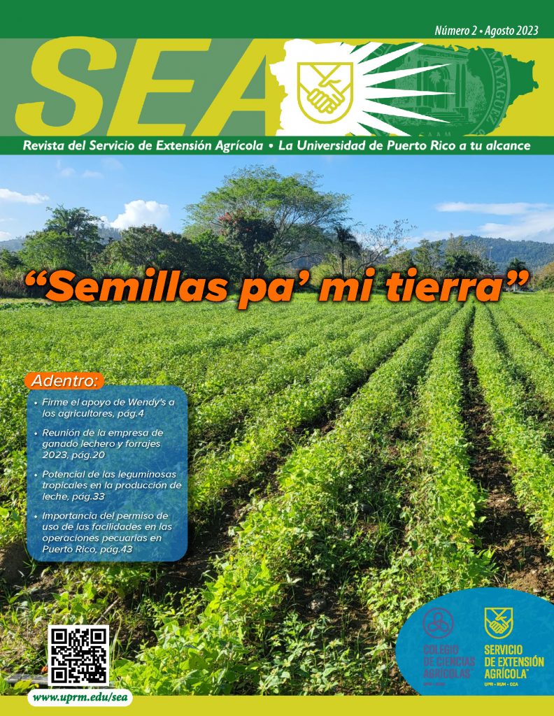 Revista SEA Edición 30