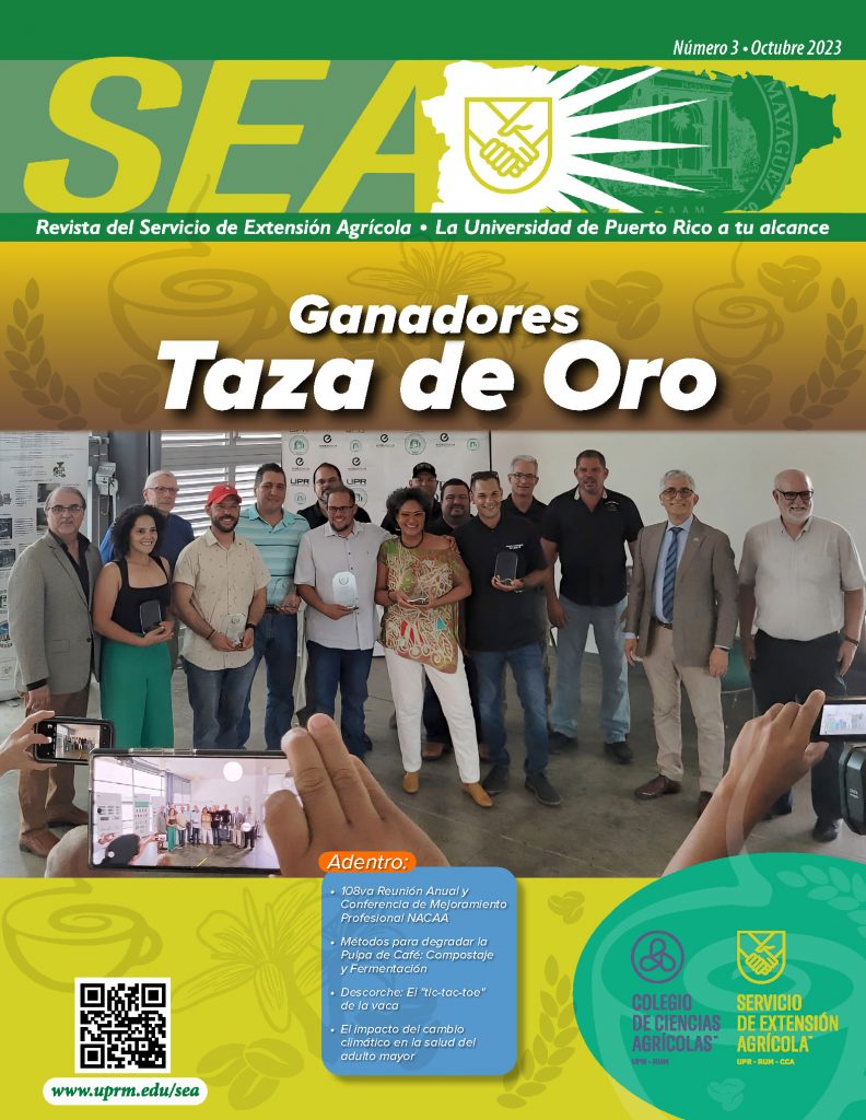 Revista SEA Edición 31