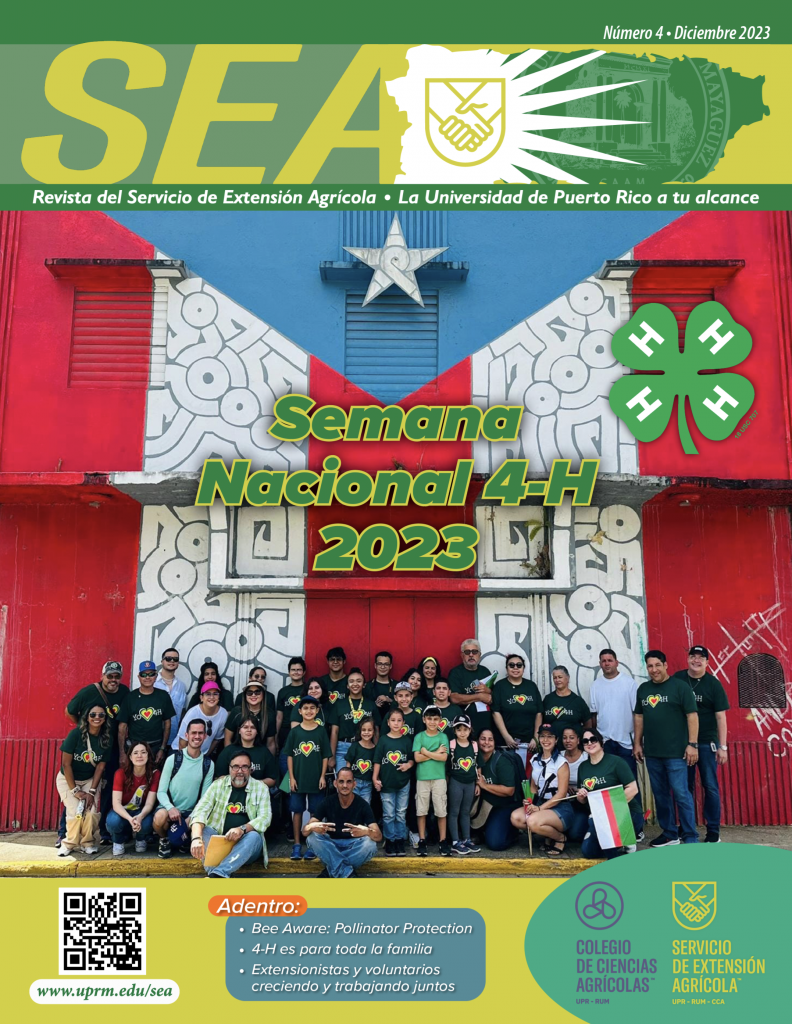 Revista SEA Edición 32