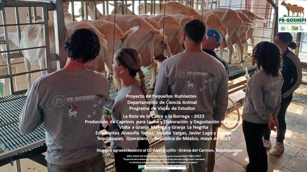 Slide19