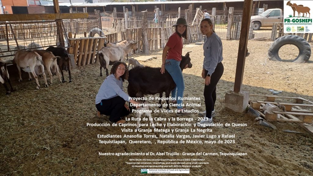 Slide23