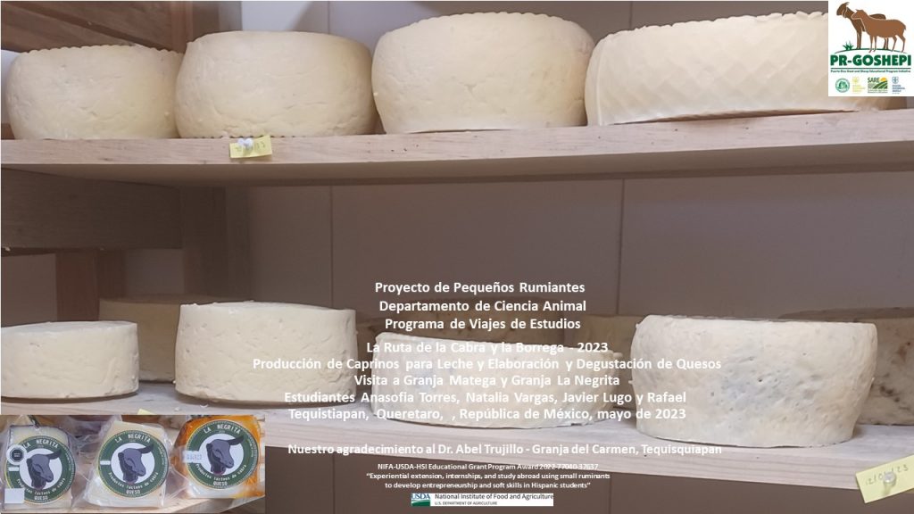 Slide28