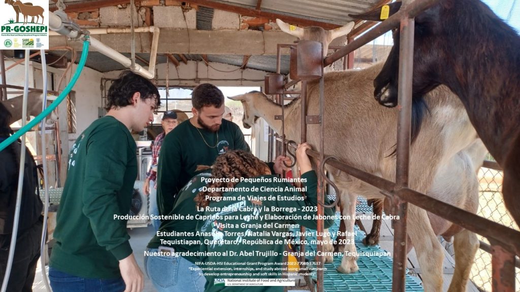 Slide35