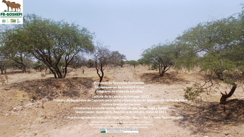 Slide40