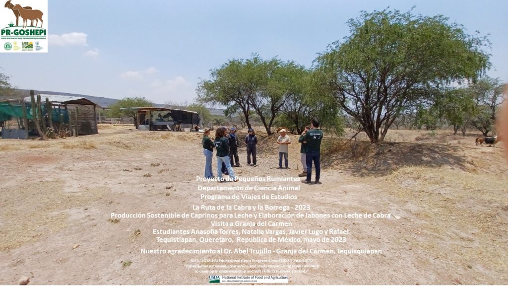 Slide41