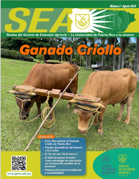 Revista SEA Edición 34