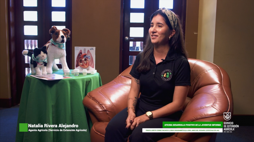 Cápsula Educativa #5