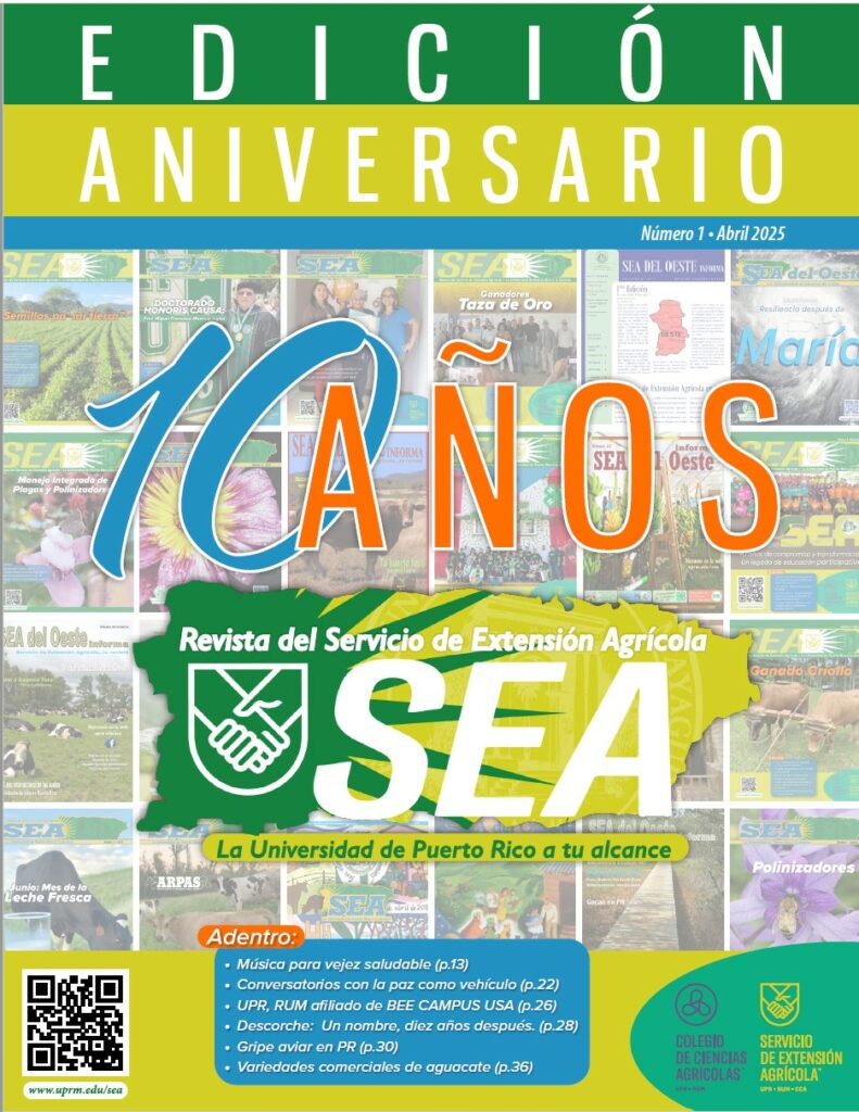 Revista SEA Edición 36