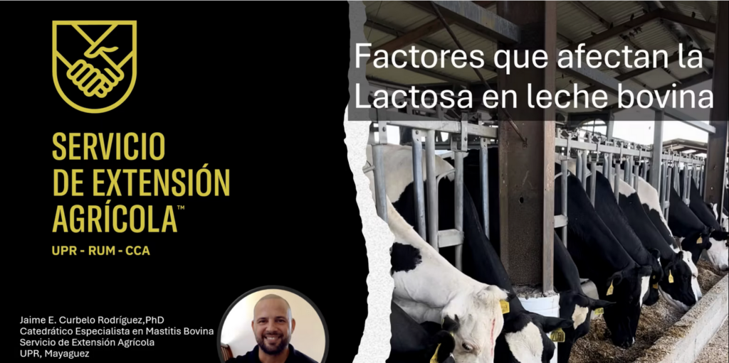 Factores Criticos Lactosa en Leche Bovina