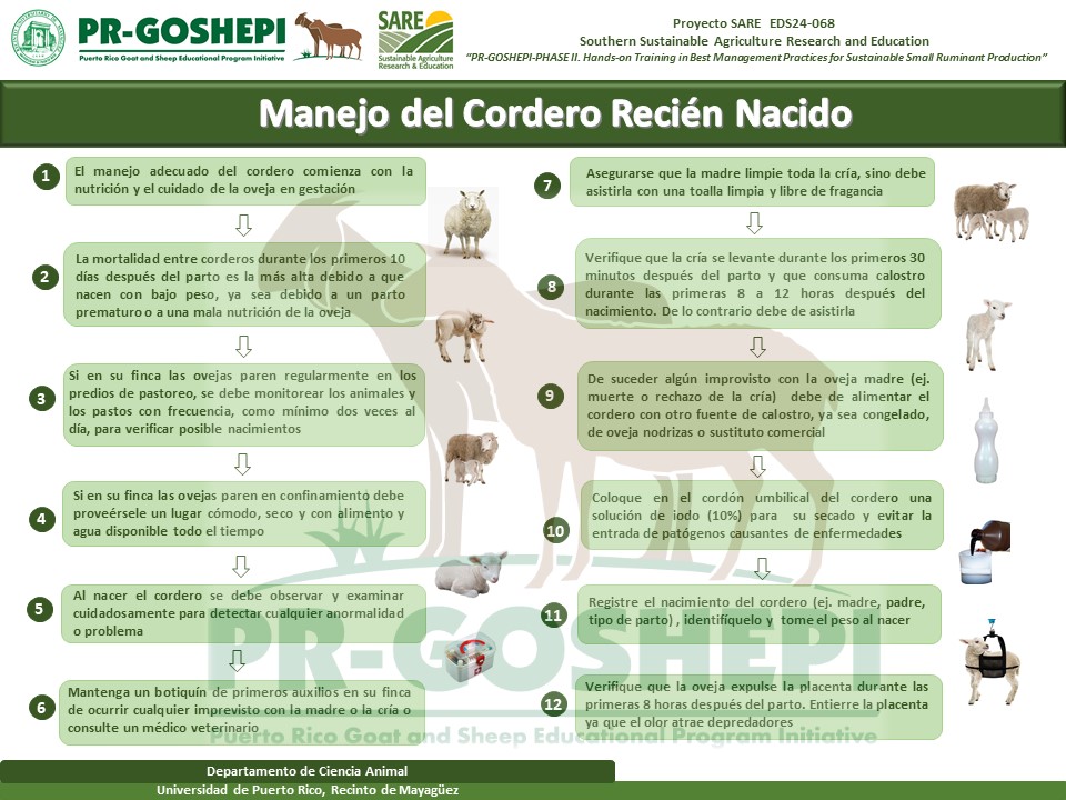 SARE_Slide14