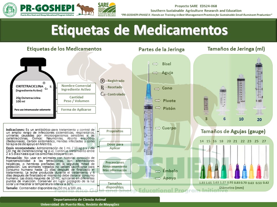 SARE_Slide6