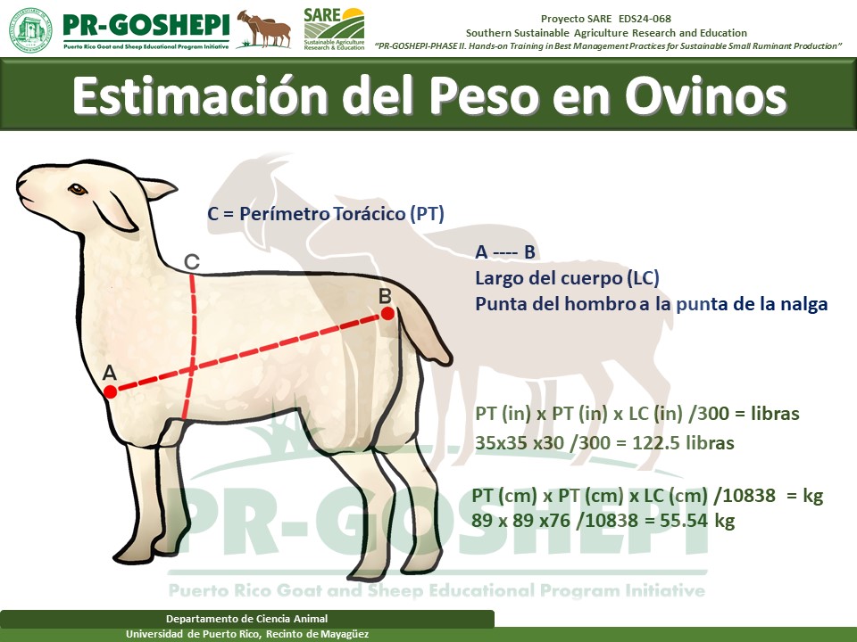 SARE_Slide8