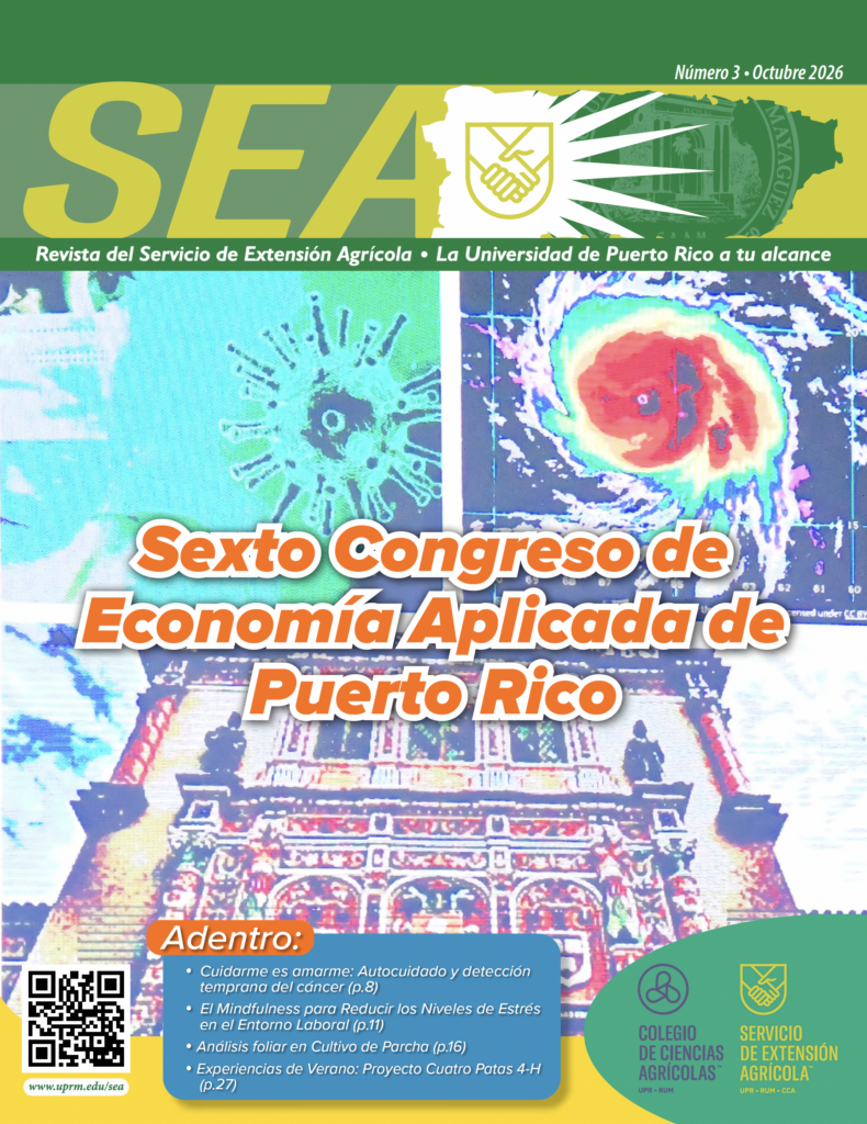 Revista SEA Edición 40
