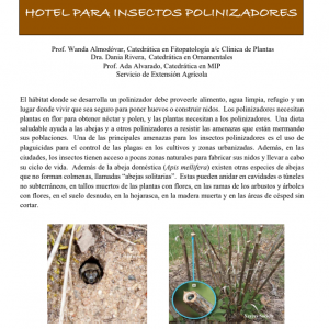 Hotel Para Insectos Polinizadores