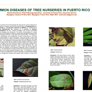 common diseases of tree nurseries