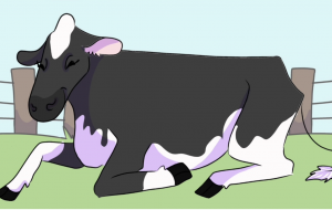 vaca