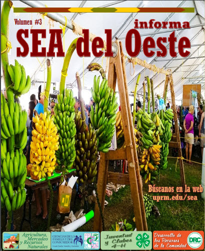 Revista del SEA Vol.3 2015