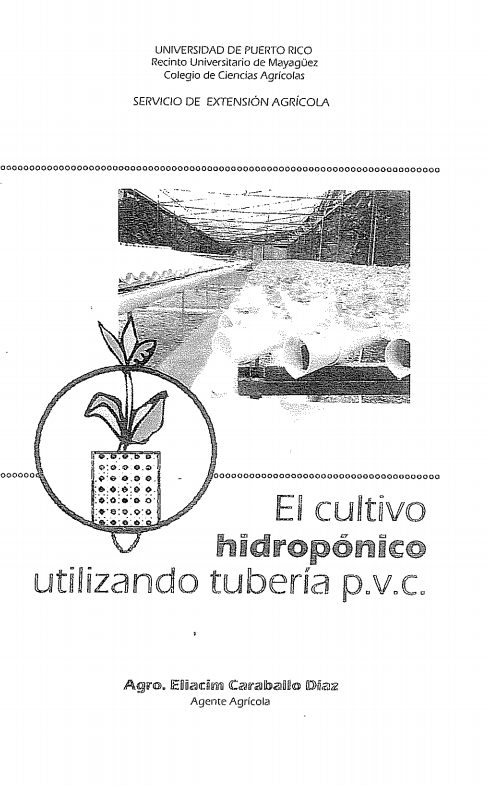 El cultivo hidroponico utilizando tubería pvc