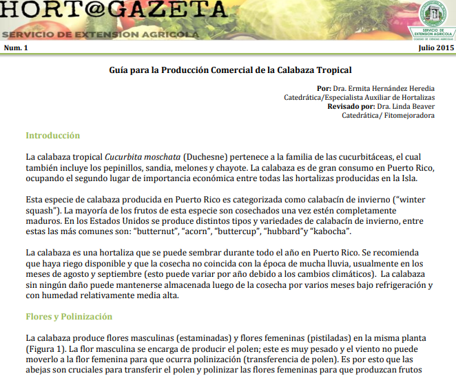 Guía para la Producción Comercial de la Calabaza Tropical