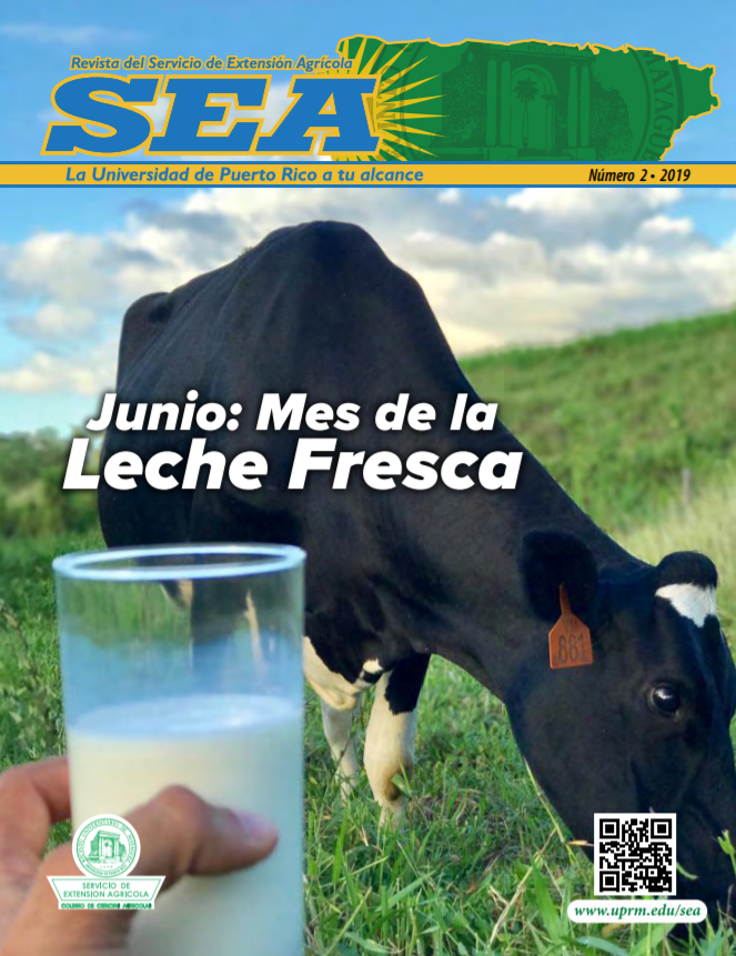 Revista del SEA Vol.2 2019