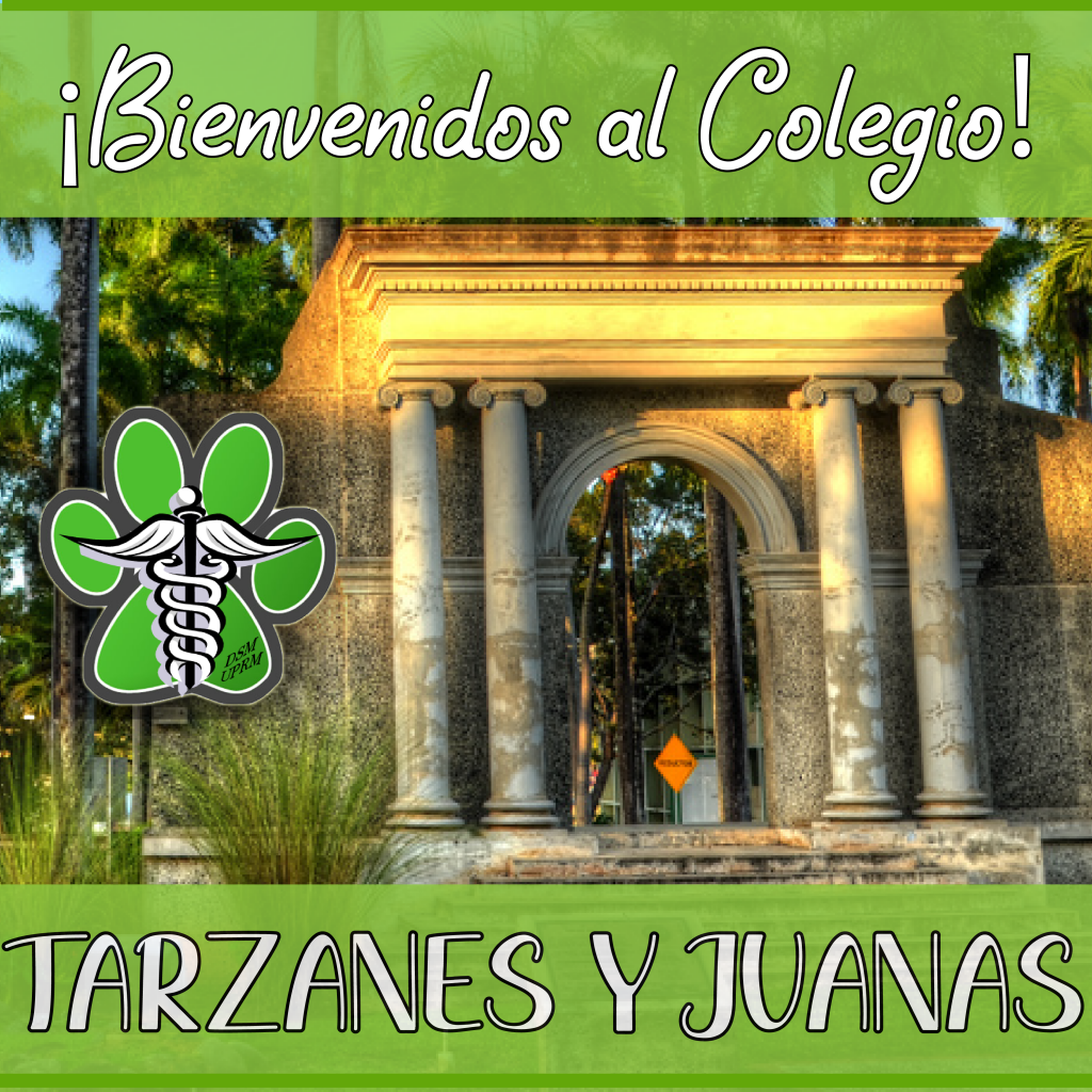 Estudiantes de Traslado y/o Readmisiones