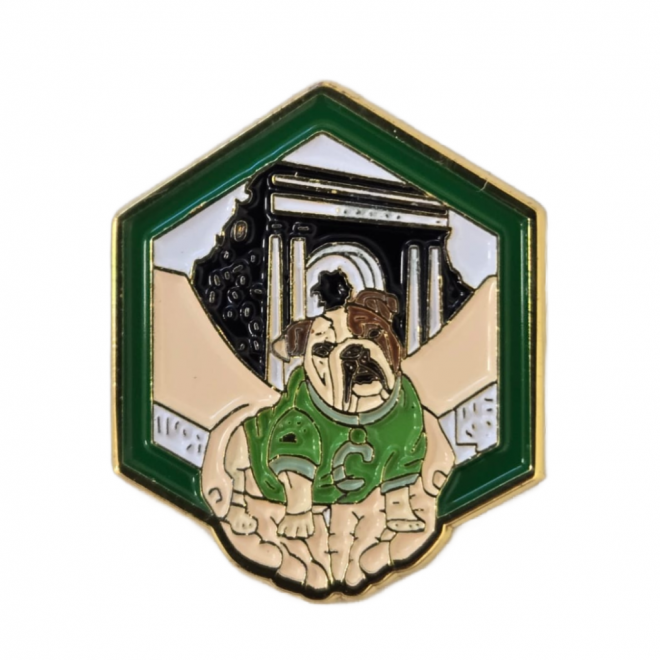 Pin Manos RUM