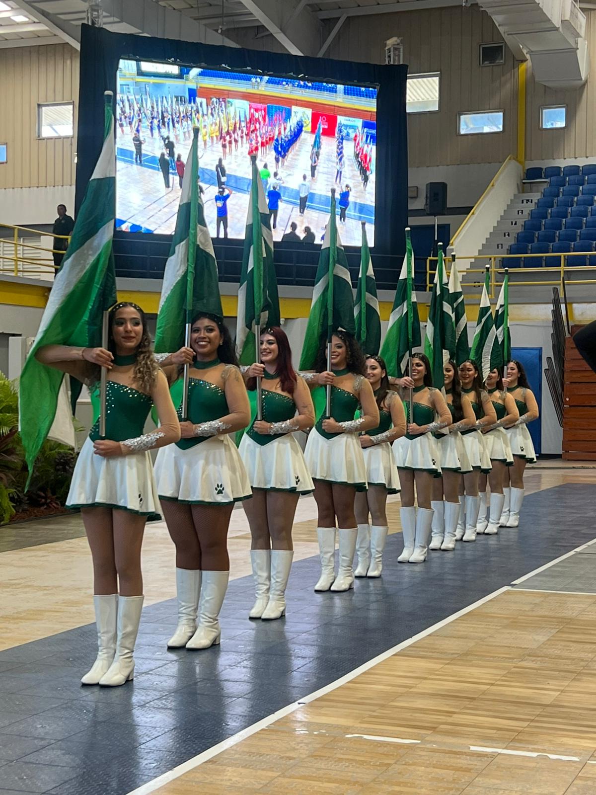 Viste a una Abanderada - Image 2